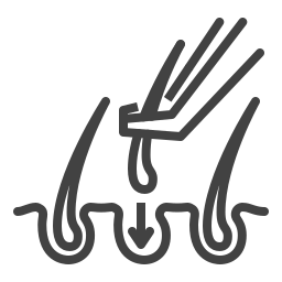 cabello icono