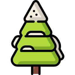 Pine icon