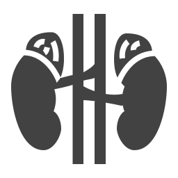 organo icona