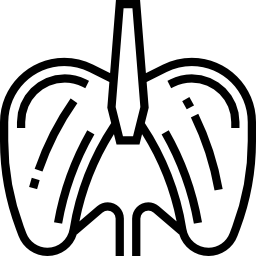 diaphragme Icône