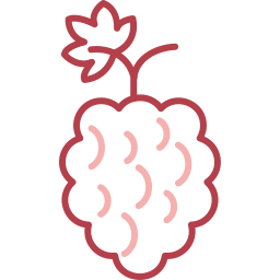 himbeeren icon