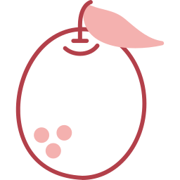 pomelo icon