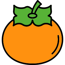 persimmon icon