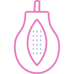 papaya icono