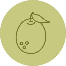 grejpfrut ikona