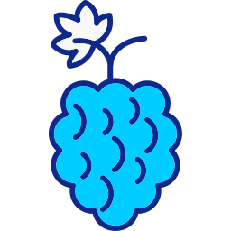 라즈베리 icon