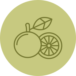 pompelmoes icoon