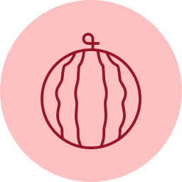 Watermelon icon