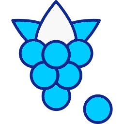 ボイセンベリー icon