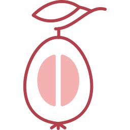 Loquat icon