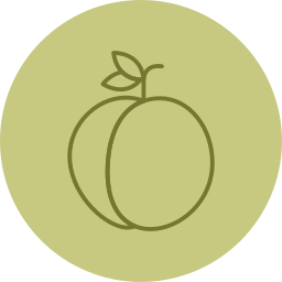 pfirsich icon