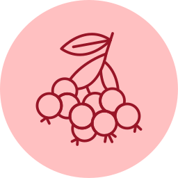 Huckleberry icon