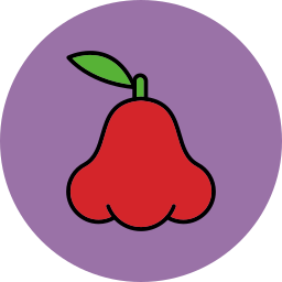 Java apple icon