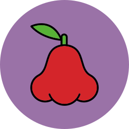 Яванское яблоко иконка