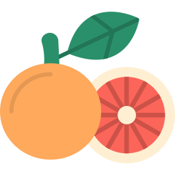 Grapefruit icon