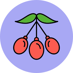 Wolfberry icon