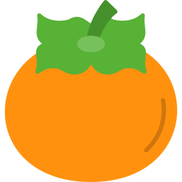 Persimmon icon