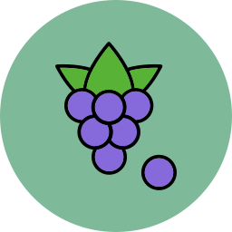 Boysenberry icon