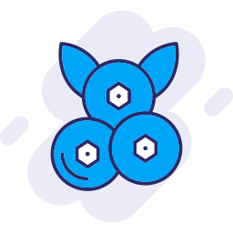 Blueberries icon