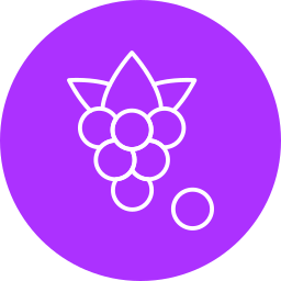 Boysenberry icon