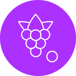 boysenberry icona