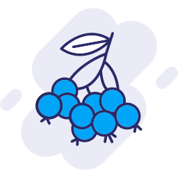 Huckleberry icon