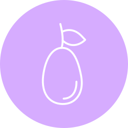 kumkwat ikona