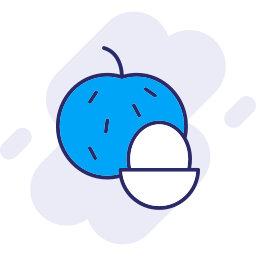 longan icon