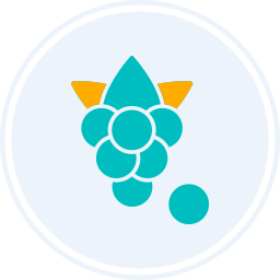 Boysenberry icon