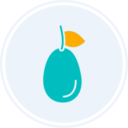 Kumquat icon