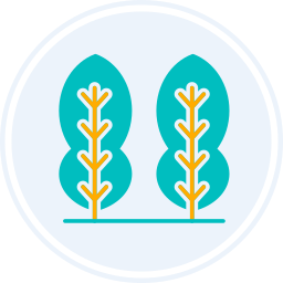 コブミカン icon