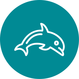 Dolphin icon