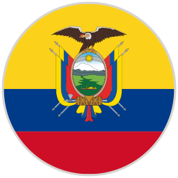 bandera icono