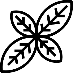 basilicum icoon