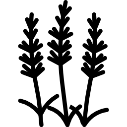 gingko icono