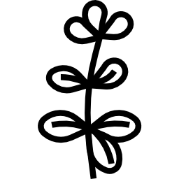오레가노 icon