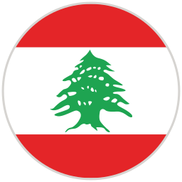 Flag icon