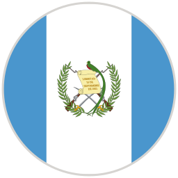 bandera icono