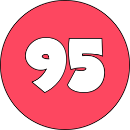 95 icoon
