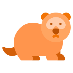 Ferret icon