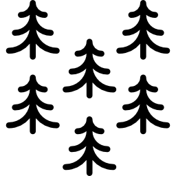 pines Ícone