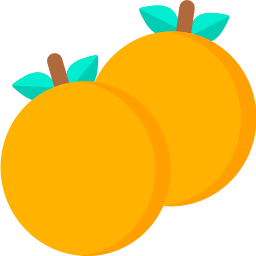 Orange icon