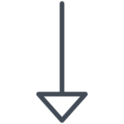 Circuit icon
