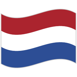 vlag icoon