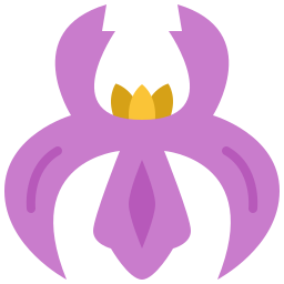 虹彩 icon