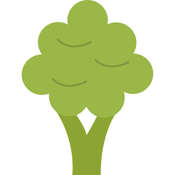 Broccoli icon