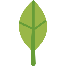 Leaf icon