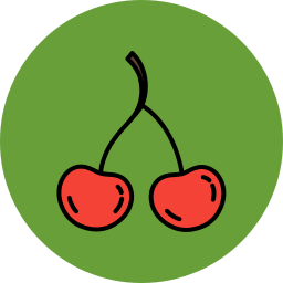 Fruit icon