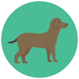 Dog icon