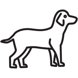 Dog icon